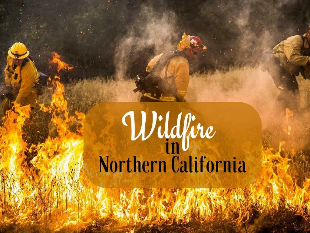 wildfire in northern california