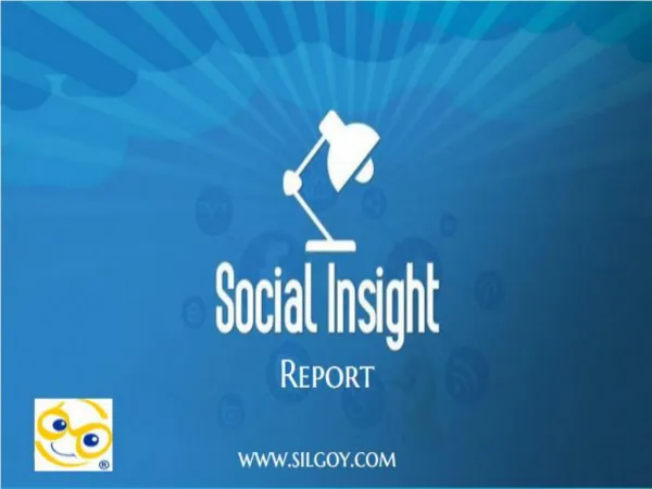Social Media Insight Report