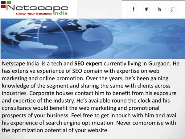 What are the services provided by a Netscape India