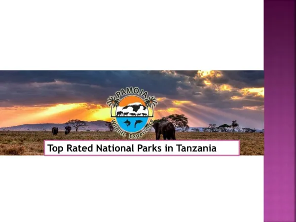 Top Rated National Parks in Tanzania