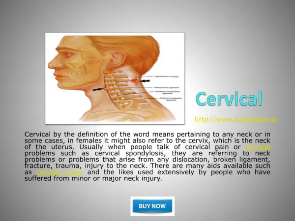 Cervical Collar Traction
