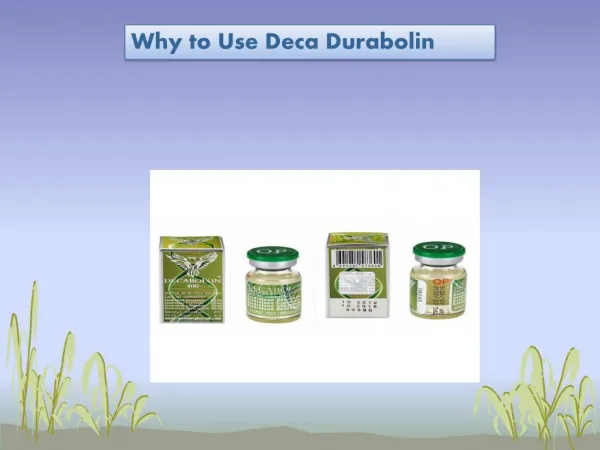 Why to Use Deca Durabolin