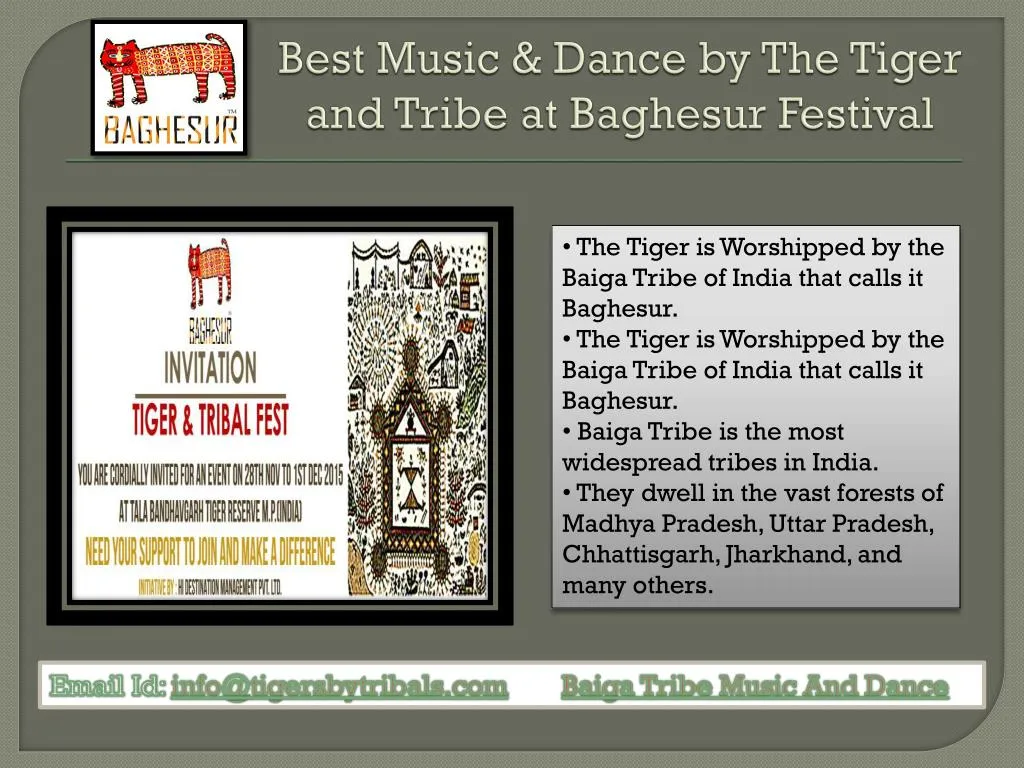 best music dance by the tiger and tribe at baghesur festival