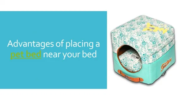 Advantages of placing a pet bed near your bed