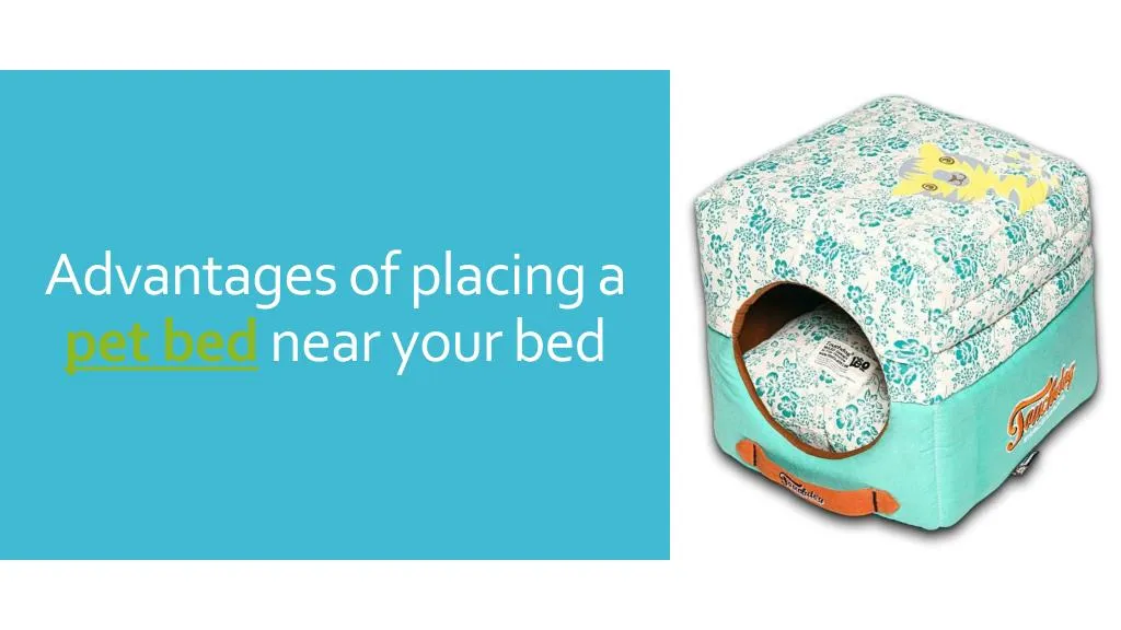 advantages of placing a pet bed near your bed