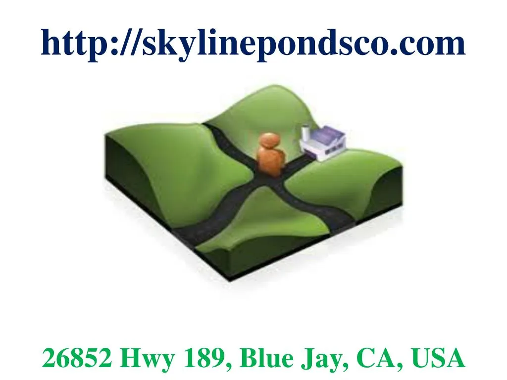 http skylinepondsco com