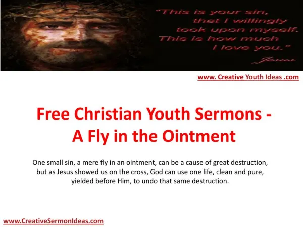 Free Christian Youth Sermons - A Fly in the Ointment