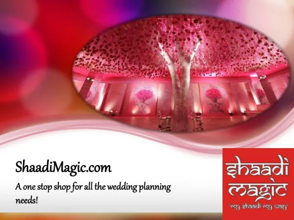 Big Indian Wedding: Website For Wedding Plans: Shaadi Magic