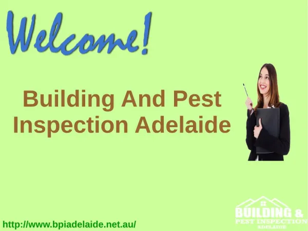 Building And Pest Inspection Adelaide
