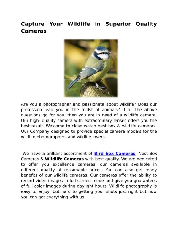 Wireless Wildlife Camera