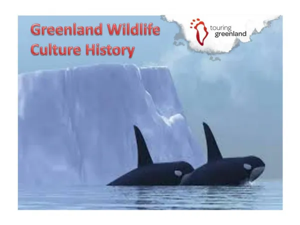 Greenland History And Culture