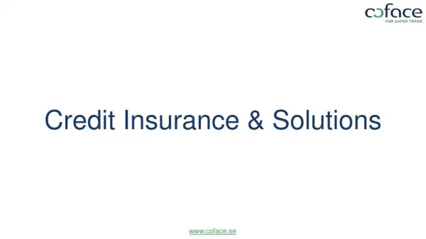 Credit Insurance and Solutions