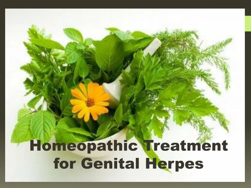 homeopathic treatment for genital herpes