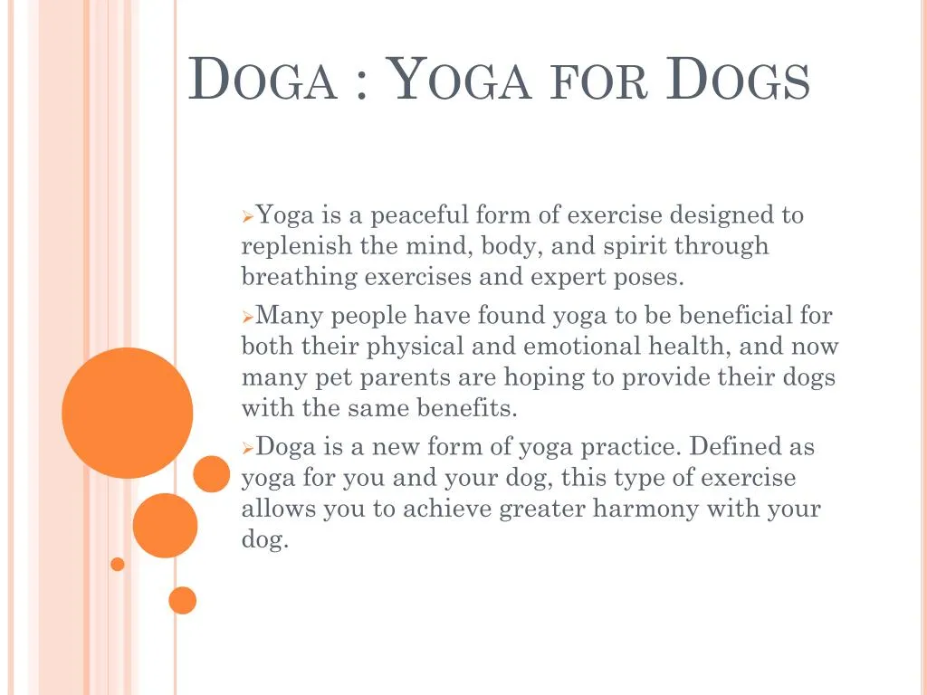 doga yoga for dogs