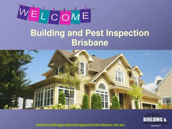 Building and Pest Inspection Brisbane