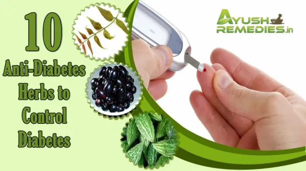Anti-Diabetic Herbs for Diabetes Control - Lower High Blood Sugar Levels