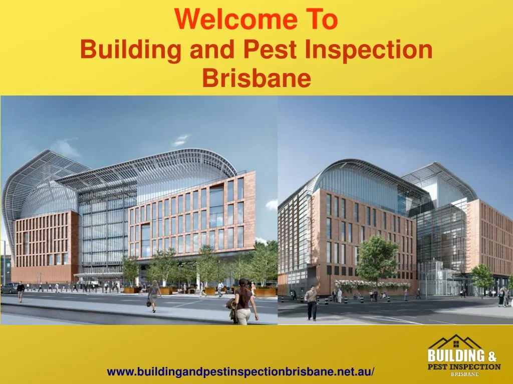 welcome to building and pest inspection brisbane