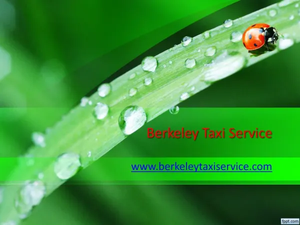 berkeley taxi service
