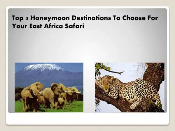 Top 3 Honeymoon Destinations To Choose For Your East Africa Safari
