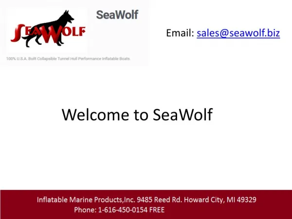 Inflatable boats sea wolf