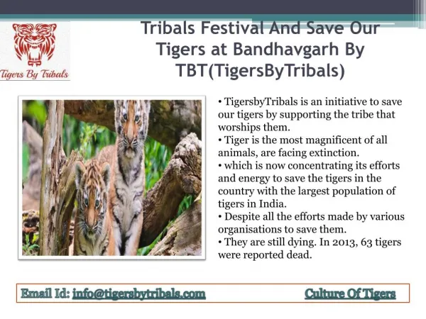 Tribals Festival And Save Our Tigers at Bandhavgarh