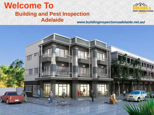 Building And Pest Inspection Adelaide