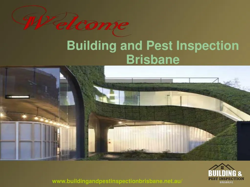 building and pest inspection brisbane