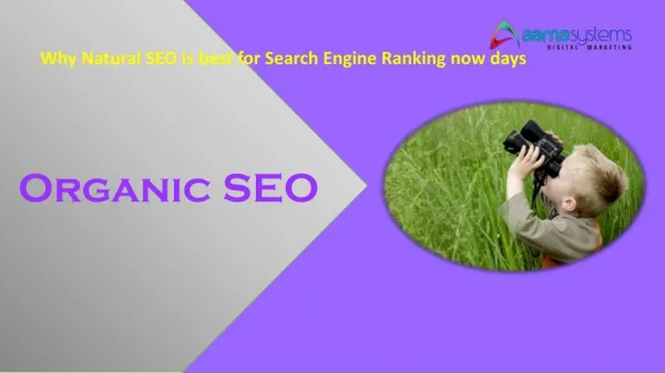 Why Natural SEO is best for Search Engine Ranking now days
