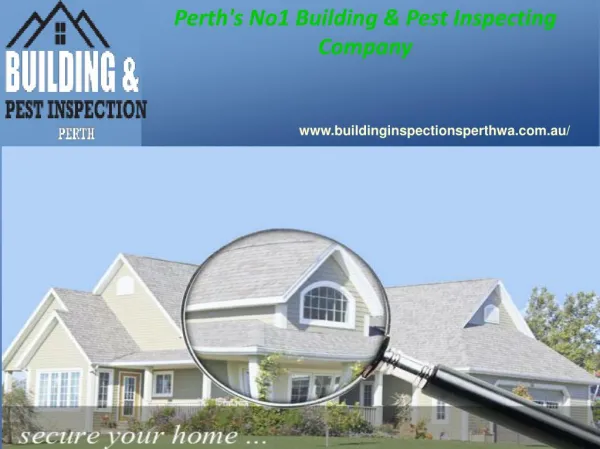 Building and Pest Inspection Perth