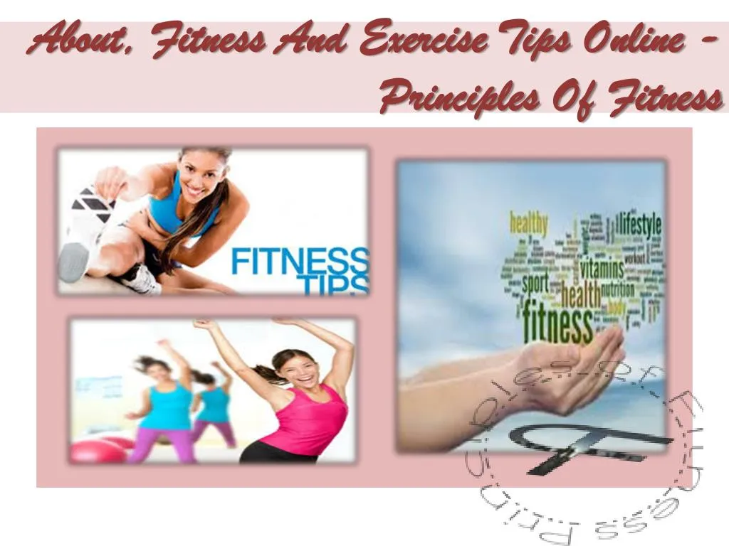 about fitness and exercise tips online principles of fitness