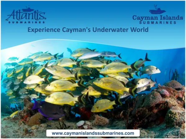 Cayman Islands Submarine - Experience Cayman's Underwater World