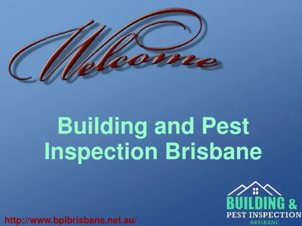 Building Inspection and Pest Control Services In Brisbane