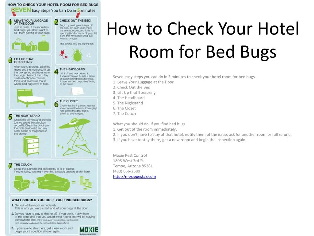 how to check your hotel room for bed bugs