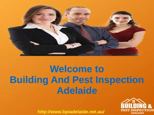 Pest And Building Inspection in Adelaide