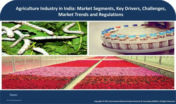 Agriculture Industry | Market Segments - Floriculture, Sericulture and Cold Chains
