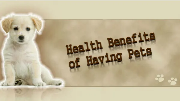 Health Benefits Of Having Pets