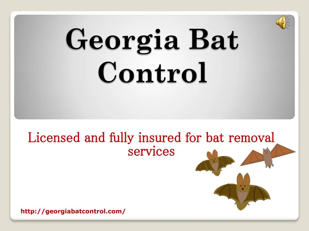 georgia bat control