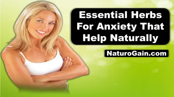 Essential Herbs For Anxiety That Help Naturally