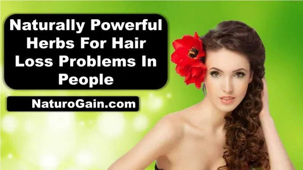 Naturally Powerful Herbs For Hair Loss Problems In People