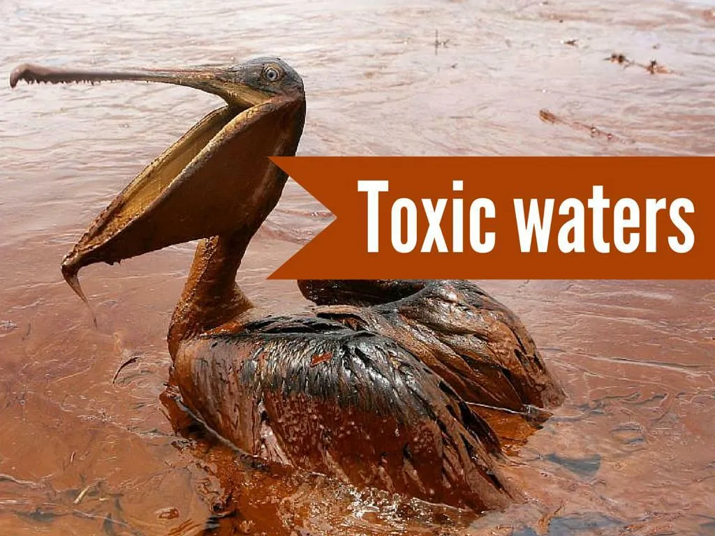 toxic waters