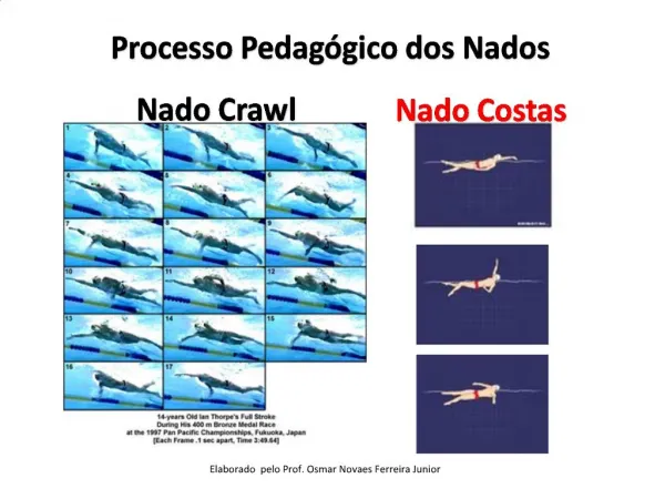 Processo Pedag gico dos Nados