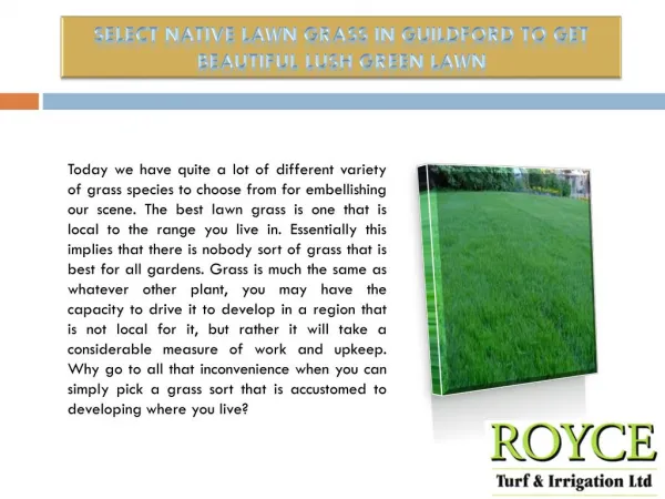 Select Native Lawn Grass in Guildford to get Beautiful Lush Green Lawn