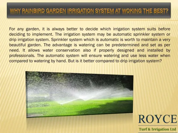 Why Rainbird Garden irrigation System At Woking The Best?