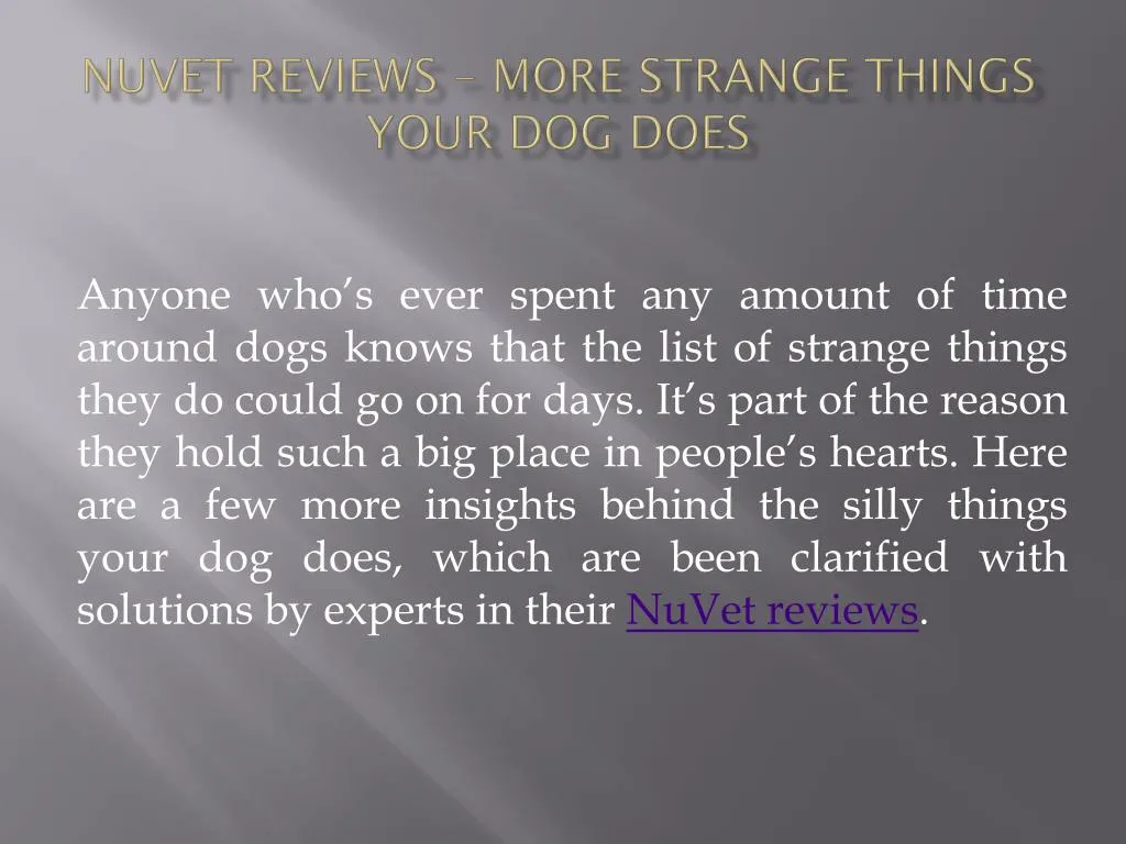nuvet reviews more strange things your dog does