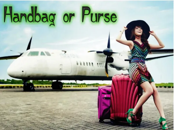 Handbag or Purse