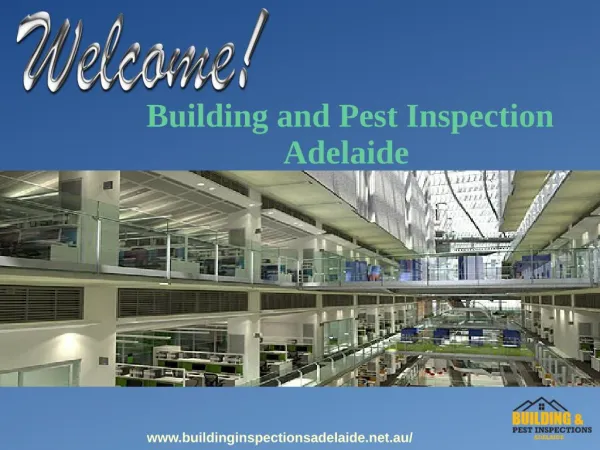Best Building And Pest Inspection Services in Adelaide