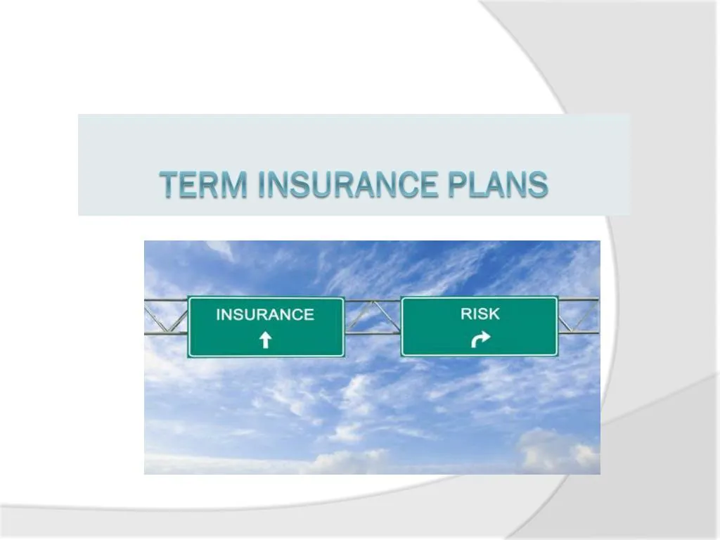 term insurance plans