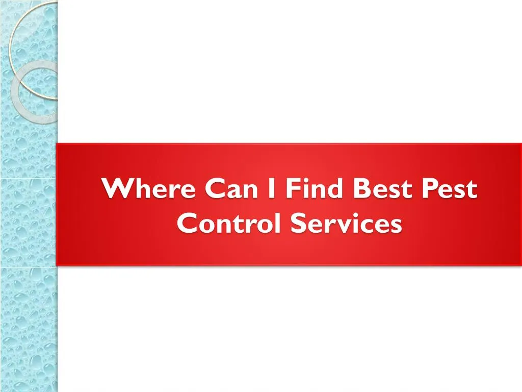 where can i find best pest control services