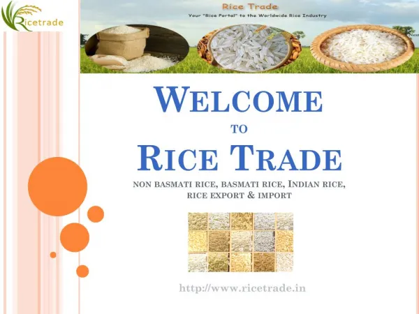 Basmati Rice, Basmati rice Export in India, Basmati rice Price in India