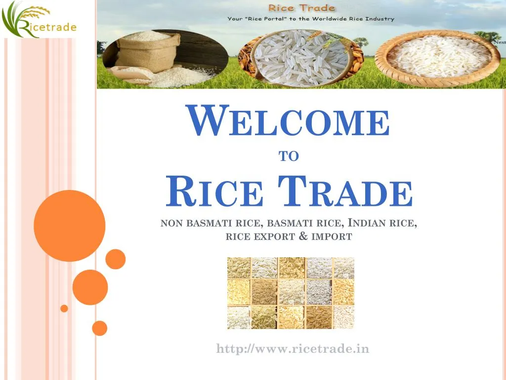 welcome to rice trade non basmati rice basmati rice indian rice rice export import